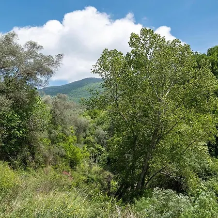 Casa Alassio Dom wakacyjny Chiusavecchia